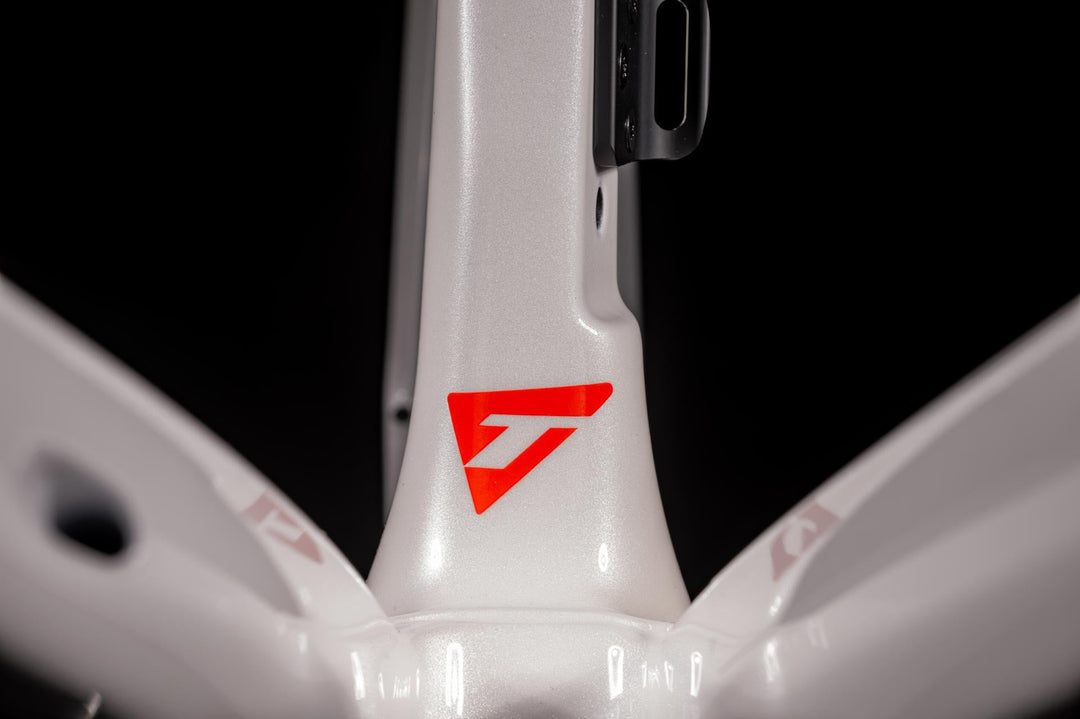 SCYLON FRAMESET